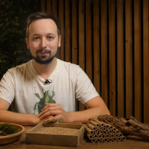 3 Dinge, mit denen du Insekten sofort hilfst
