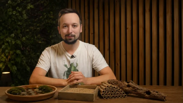 3 Dinge, mit denen du Insekten sofort hilfst