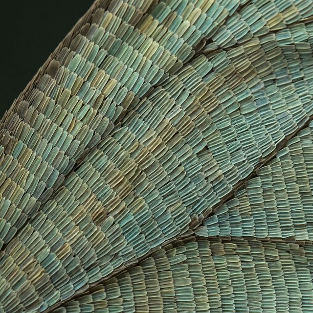 Mikroskopische Mosaike